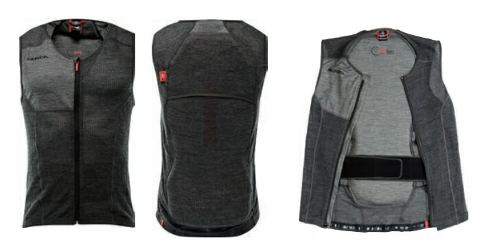 楽天市場】25-26 ALPINA アルピナ プロテクター ベスト スキー