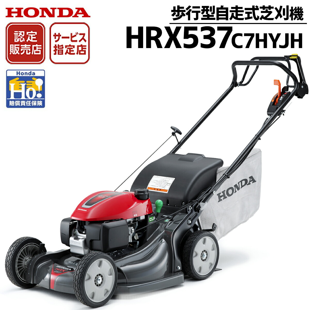 imgrc0110485086.jpg