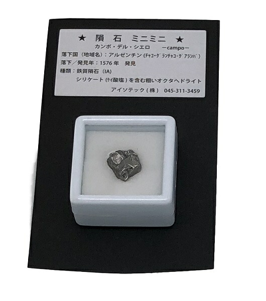 楽天市場】ギベオン隕石 1836年 ナミビア Gibeon OCTAHEDRITE(IVA