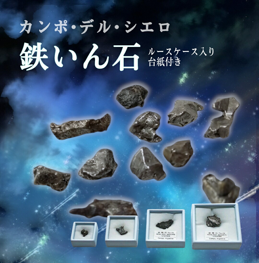 ギベオン隕石プレート、カンポテルシエロ隕石2点セット 07281303_62e20a836df6f.jpg