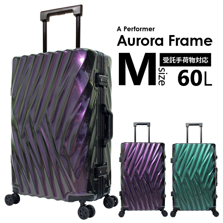 楽天市場 スーツケース Mサイズ キャリーケース キャリーバッグ 軽量 8輪キャスター おすすめ 丈夫 ビジネス Tsa Tsa 搭載 旅行バッグ 旅行カバン トラベルバッグ 旅行用品 送料無料 1年保証付 110 11 履物スーツケース直販店レクスター