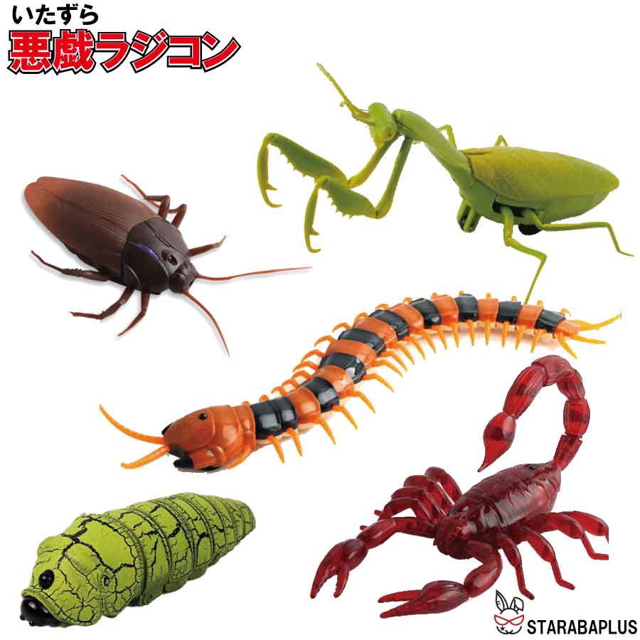 楽天市場】ラジコン 赤外線RCカマキリ 縁日 景品 夏祭り お祭り