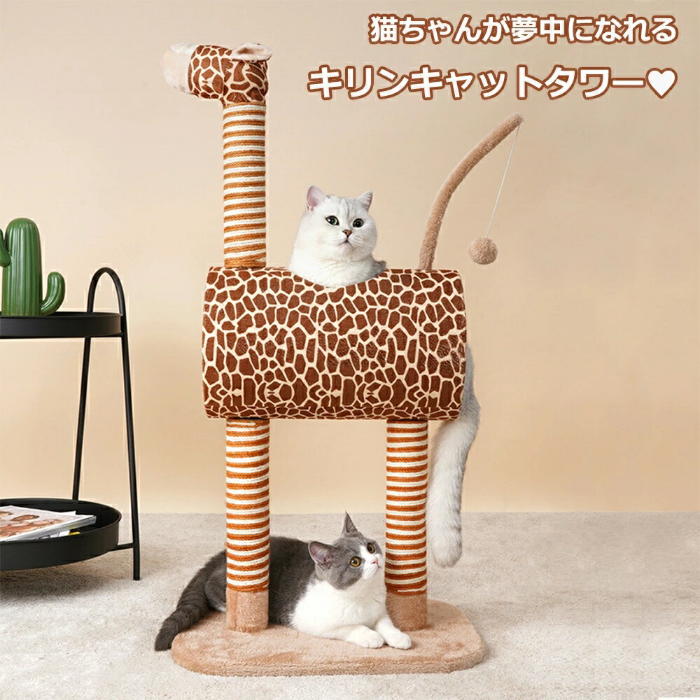 楽天市場】「エントリーで☆ポイント10倍 」人参 ニンジン