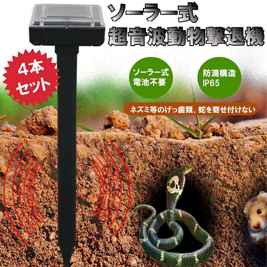 バウチャー配布真中 厳親の機会 ママの日 4拠点凝固 土龍 蛇 ラット 超物音波 がんじょう レーンコート ソーラー 園地 検知器 音 アウトドア キャンプ 生体斥ける 動物 掻潜る 貨物輸送無料 ヘビ ネズミなどの種種な動物に影響が待ちかねるできます Damienrice Com