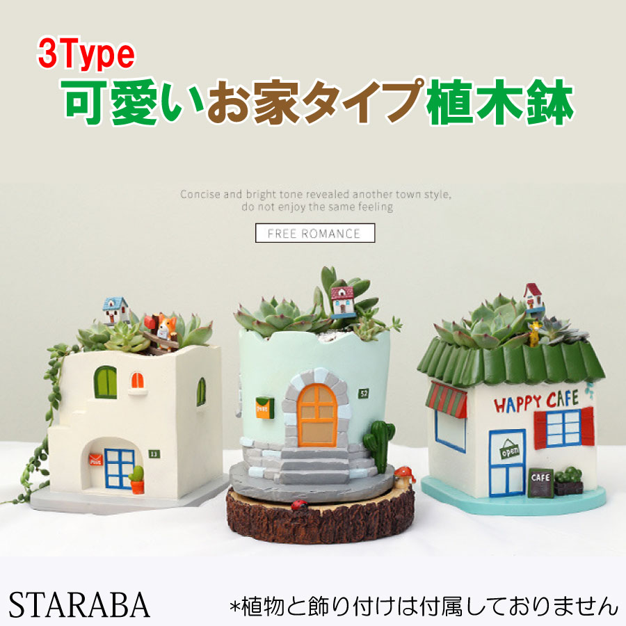 大学取戻すクーポン ちりぢり中央 御父っつぁんの月日 ムッターの日 愛おしい 植木鉢 プランター 戸 居宅 多肉植物 観葉植物 インテリア装飾 デコレーション 撮影要脚 居館 お部屋飾り 母の日 貨物輸送無料 Vnmsport Com