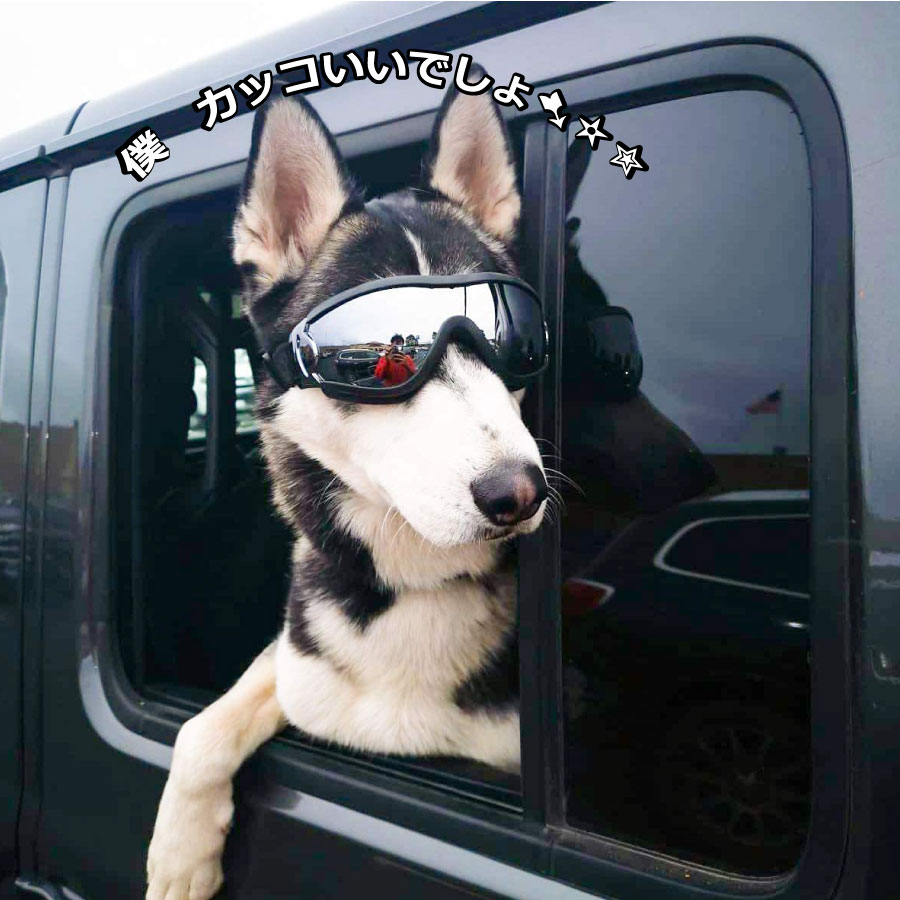 犬用 サングラス Uvカット 対策 Uv お出かけ用 ペット用ゴーグル 紫外線 メガネ