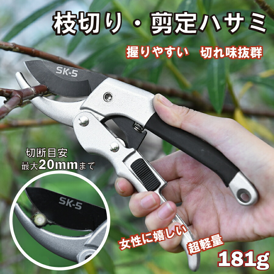 新作 大人気 剪定ばさみ プロ仕様 高耐久 剪定鋏 園芸用はさみ 果樹 庭木の剪定 盆栽35mm ハサミ 庭 ガーデン 枝切り 枝切りばさみ ロック 作業 庭木 送料無料 剪定鋏 収穫バサミ 摘果 剪定 ハサミ 盆栽 芽切り はさみ 庭 ガーデン 園芸 枝切り ばさみ 疲れにくい 作業 庭木 安全ロック付き
