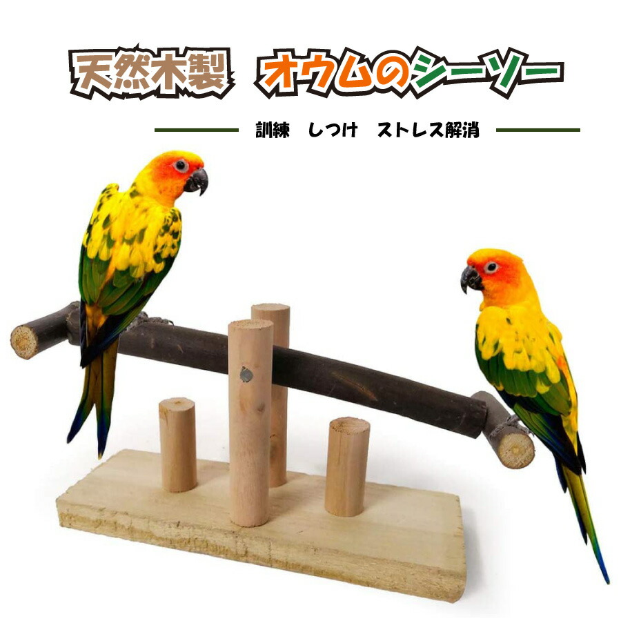 限定価格セール！】 オウム スウィング 運動促進 鳥 とまり木 ブランコ インコ 送料無料 ストレス解消 アスレチック