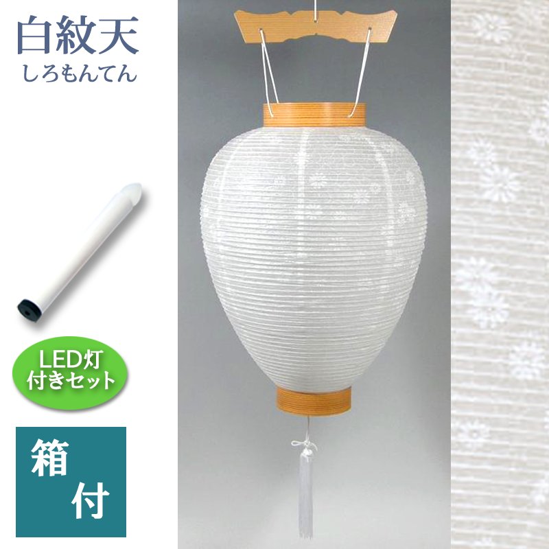 no20-b-led.jpg
