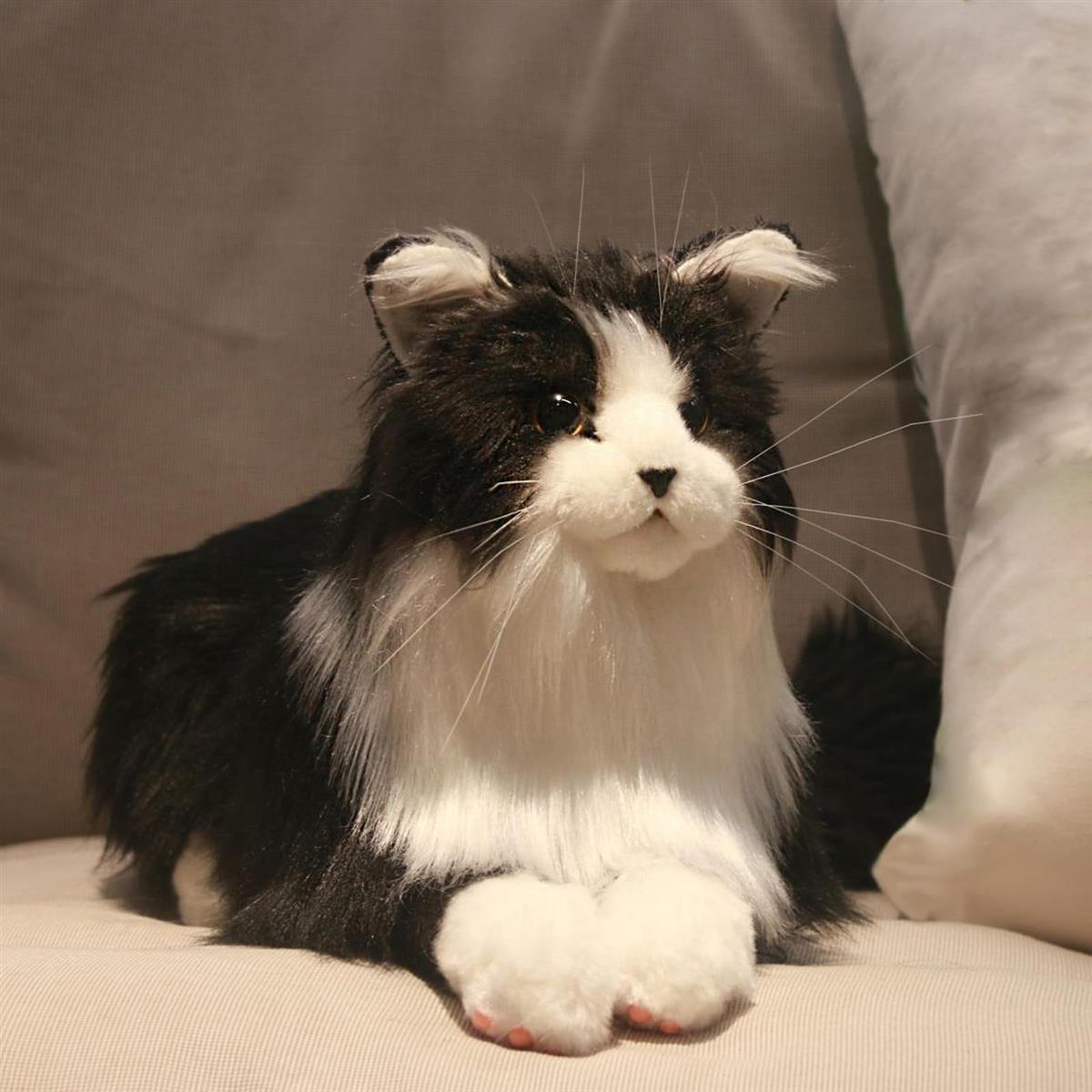 Chongker 猫ぬいぐるみ 即物的 本物そっくり お手々お手伝いさん 分かりやすい手当たり，可愛く癒し猫 ぬいぐるみ猫妄りがわしいな人、おっ母さん、赤ちゃん、お年老いへの生まれ落ちる日不死化日 差し上げ物 (まっ黒い)