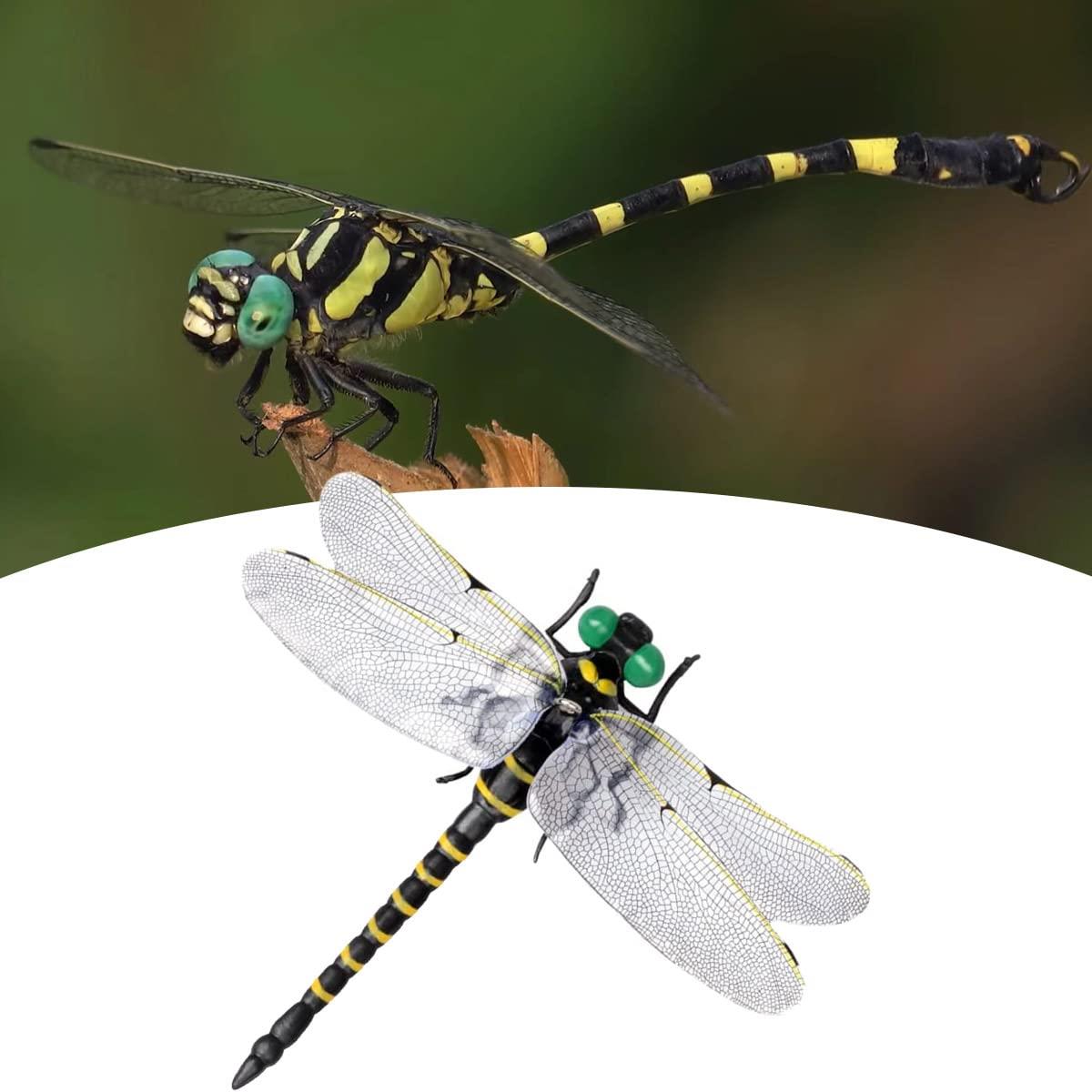 楽天市場】組み立て済み品 精巧な作り 実物に近いサイズ 組み立て式