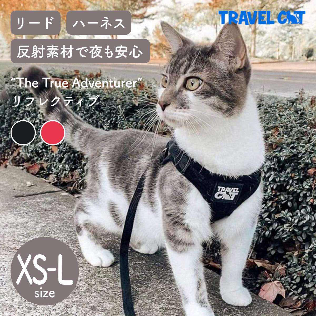 Travel CAT