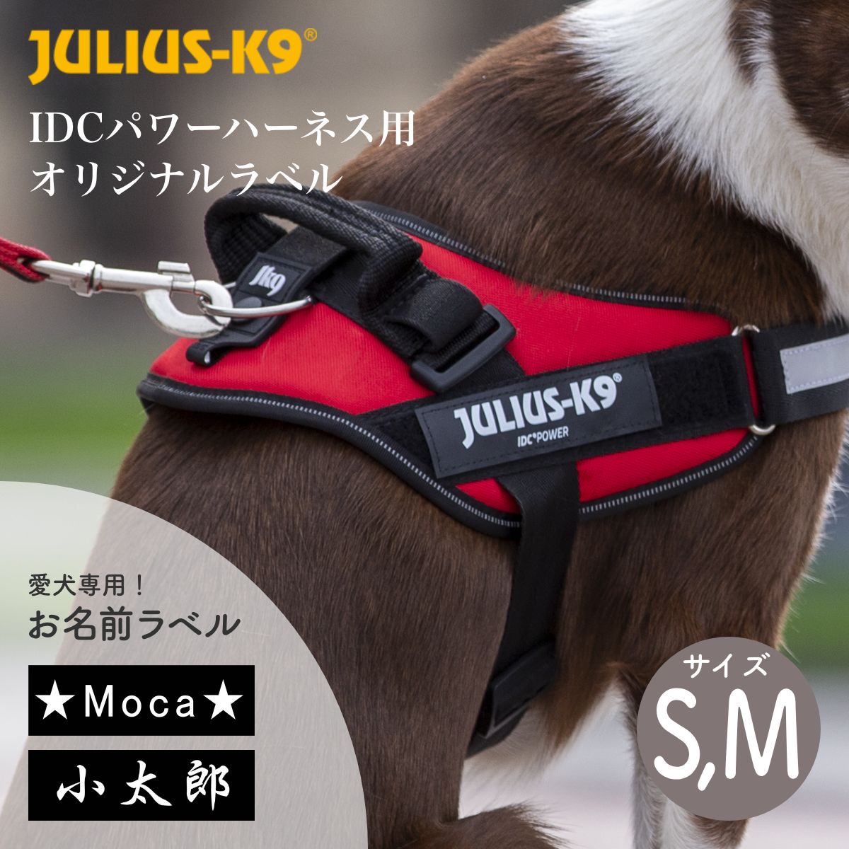 MOKOMOKO☆★ユリウスk9★ネームラベル 楽天市場】ハーネスと同時購入で100円引き(税込)【1枚