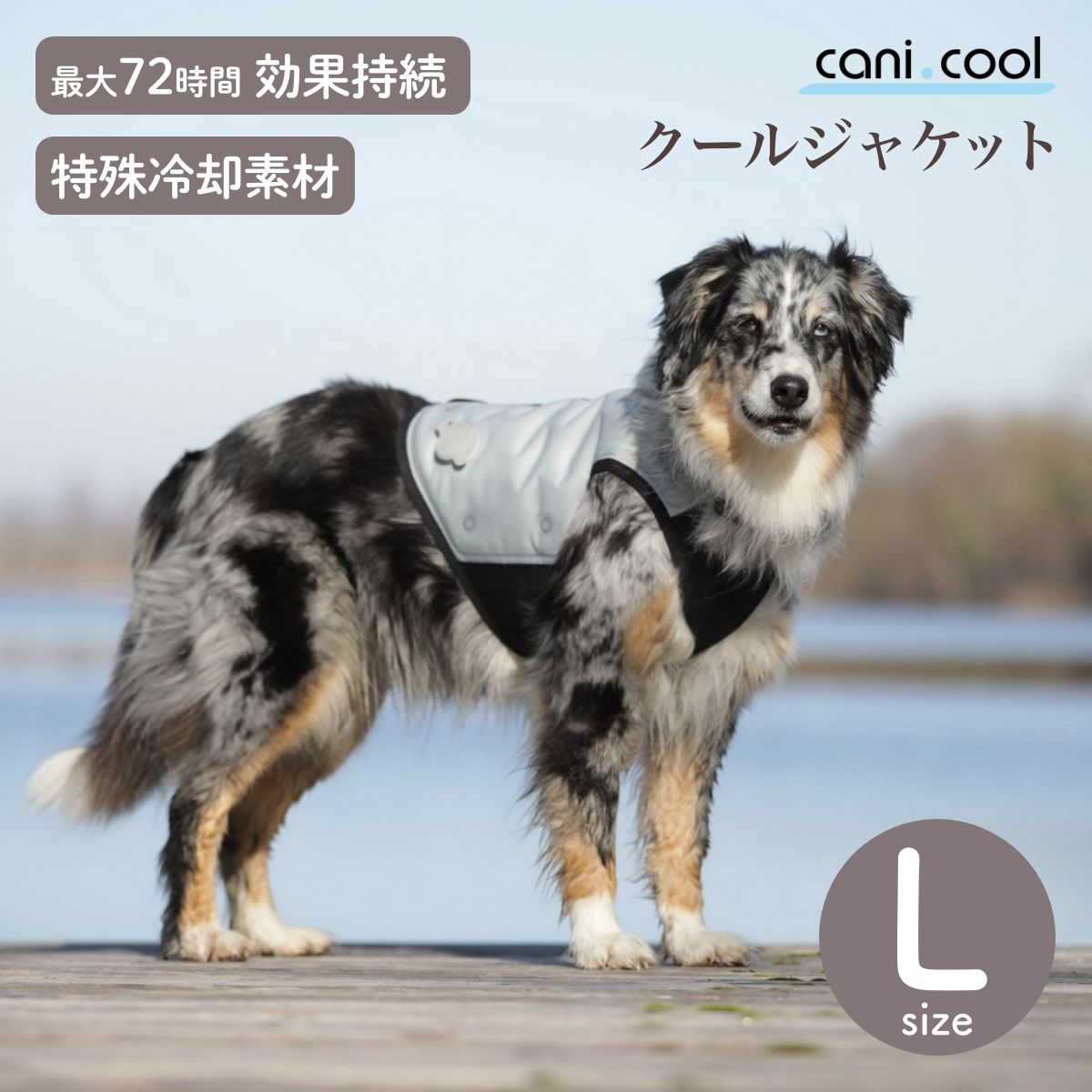 【cani.cool カニクール】クールジャケット L大いさ  冷やりとした厚地の外套 ドッグウェア 犬 cani cool Cani Cool CANI COOL【愛玩動物】【暑さ打つ手】【大いさ取り替えっこ相応う】
