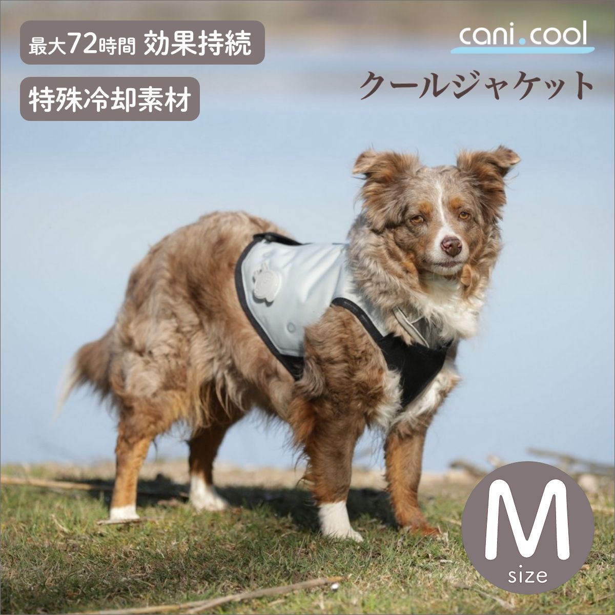 【cani.cool カニクール】クールジャケット M大いさ  冷やりとした厚地の外套 ドッグウェア 犬 cani cool Cani Cool CANI COOL【愛玩動物】【暑さ打つ手】【大いさ取り替えっこ相応う】
