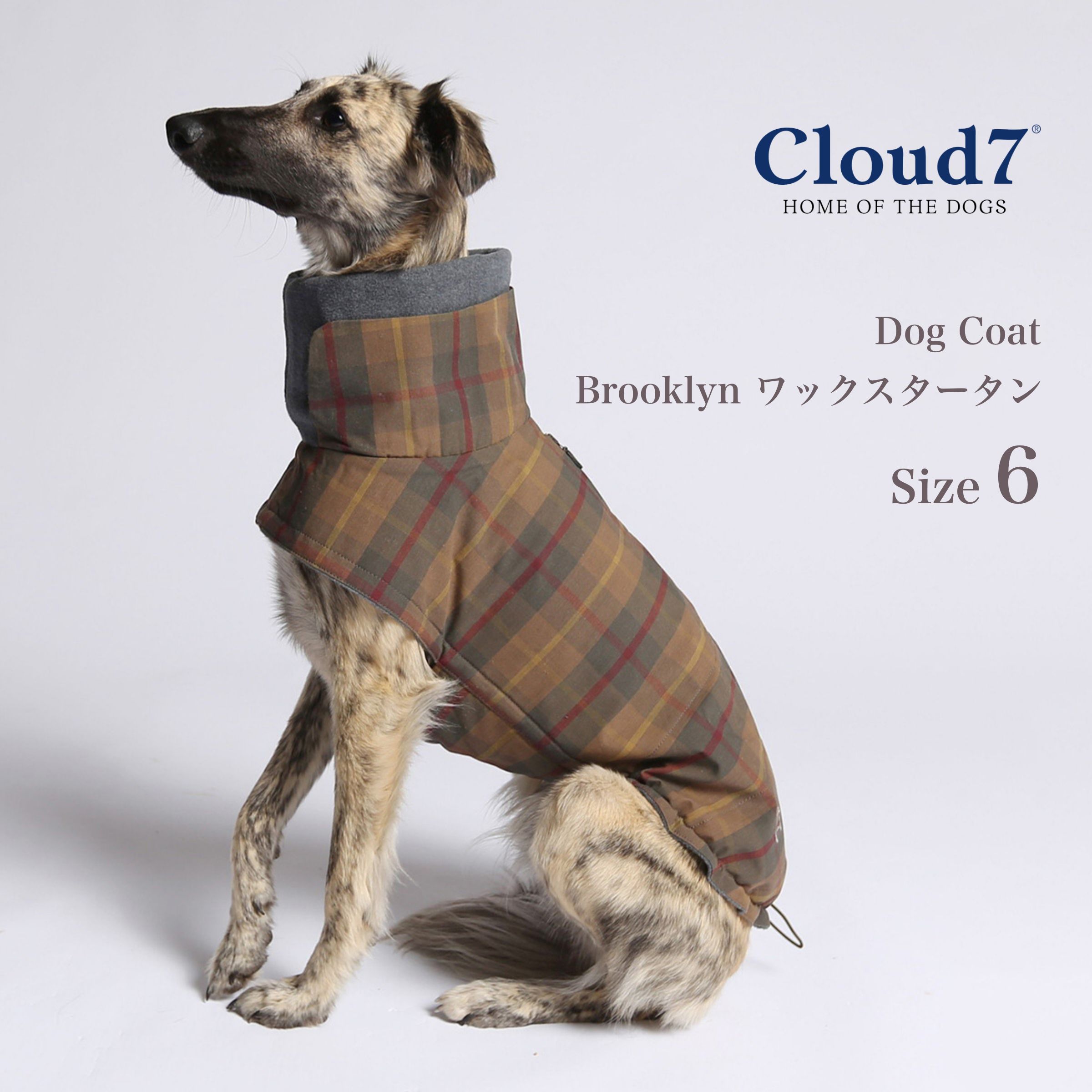 Cloud7 クラウド7 公式 Brooklyn Graphite size2 楽天市場】犬用コート