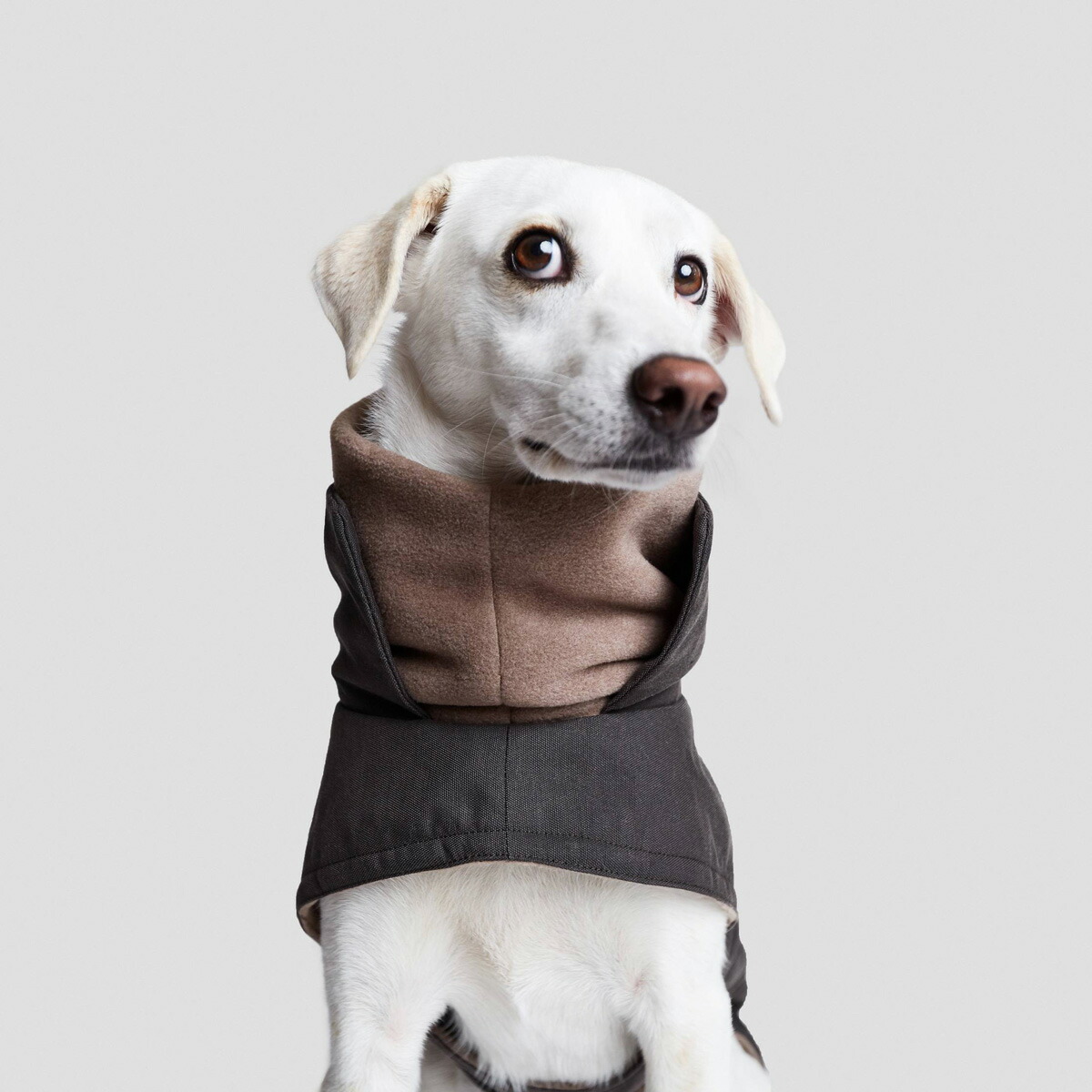 犬用コート Cloud7 クラウド7 Brooklyn ブルックリン防水グラファイト Graphite 犬用コート Cloud7 クラウド7 Brooklyn ブルックリン防水グラファイト Graphite