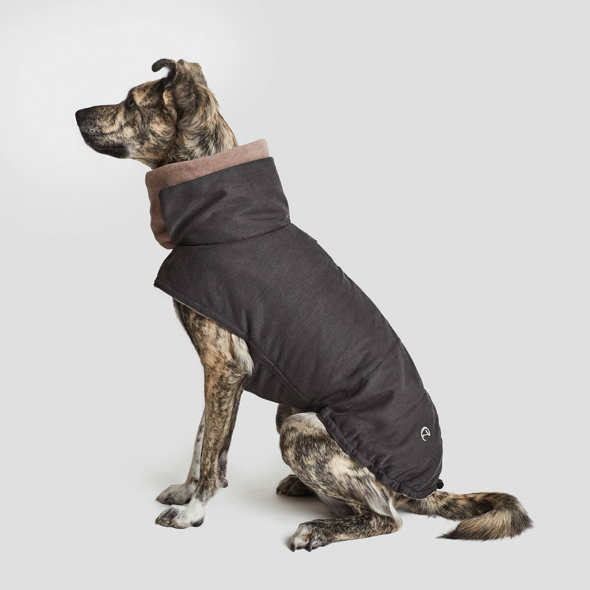 犬用コート Cloud7 クラウド7 Brooklyn ブルックリン防水グラファイト Graphite 犬用コート Cloud7 クラウド7 Brooklyn ブルックリン防水グラファイト Graphite