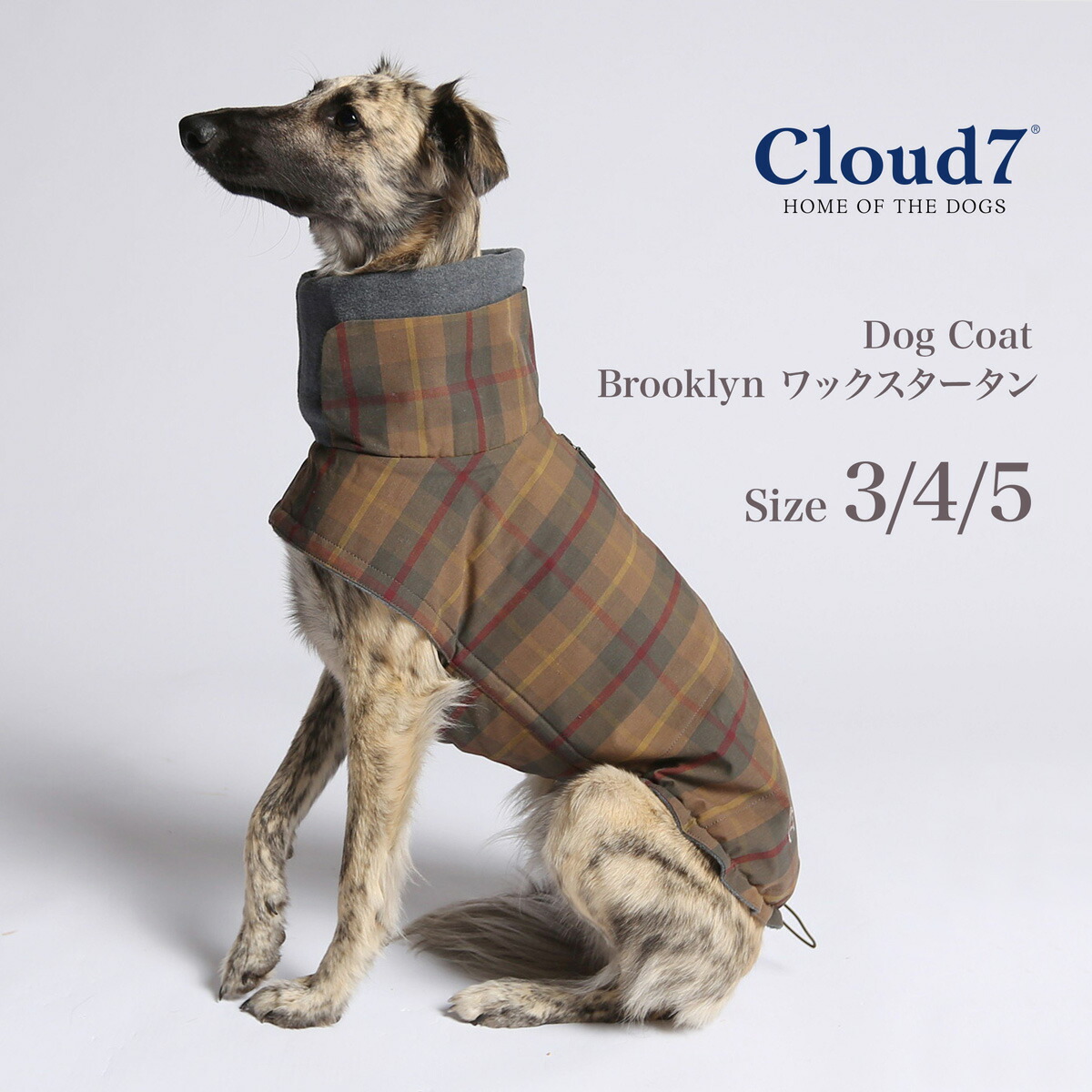 楽天市場】犬用コート Cloud7 クラウド7 Brooklyn Graphite ブルックリン防水グラファイト SIZE6.7 ペット用コート  海外直輸入 : Starry shop-R