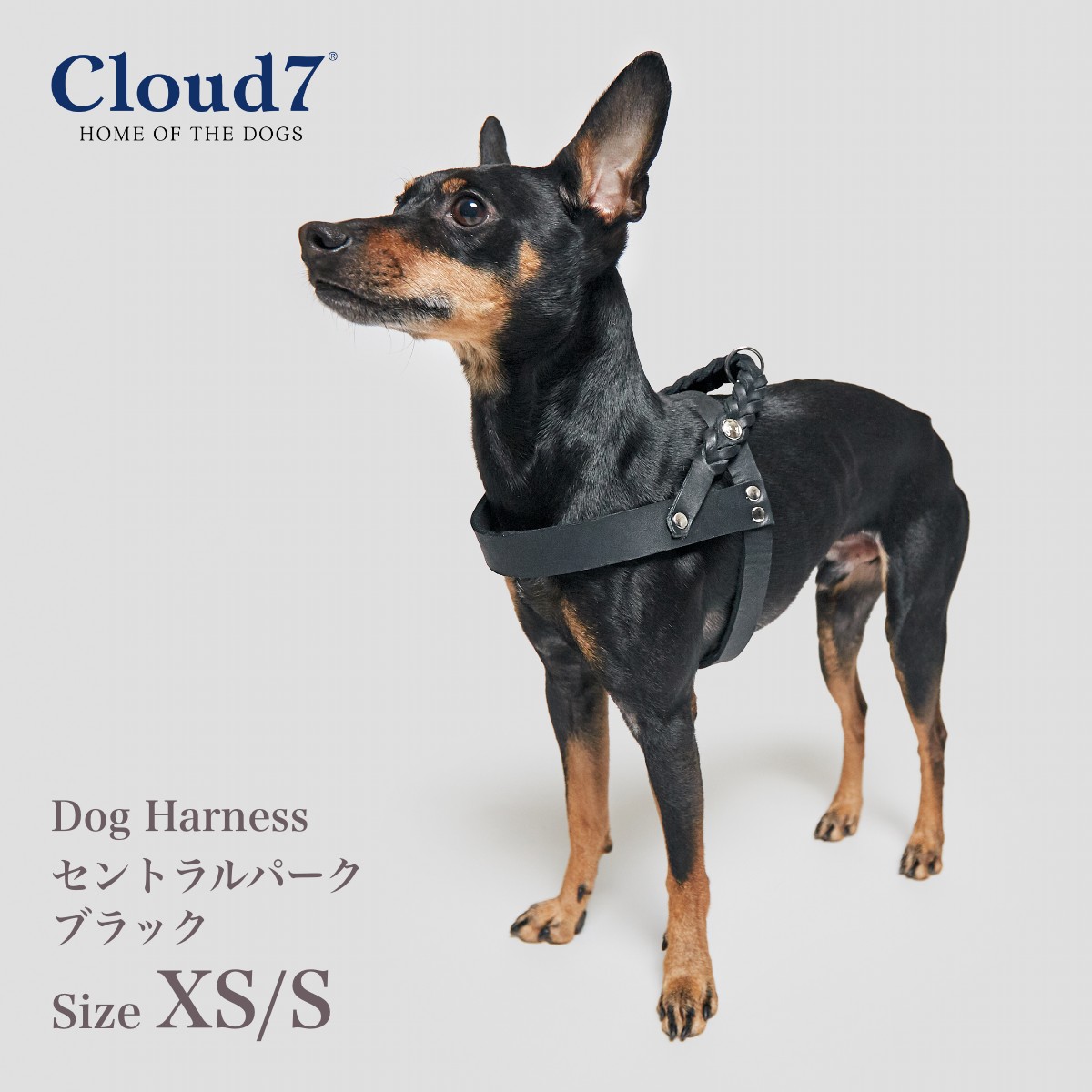 楽天市場】犬用コート Cloud7 クラウド7 グラスゴー グリーンチェック