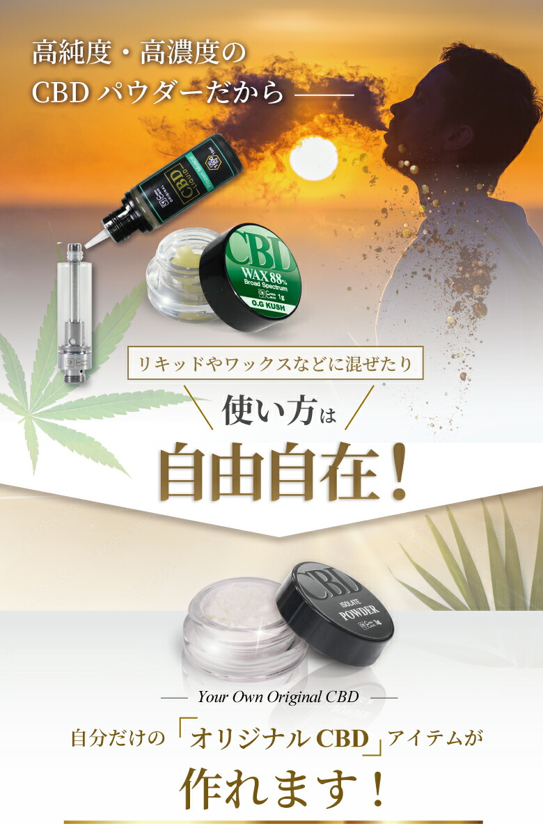 ダークムーン 双頭 葉挿しっ子 ダークムーン 双頭 葉挿しっ子