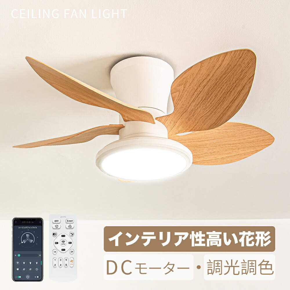 2026年新発最高限度気違い
