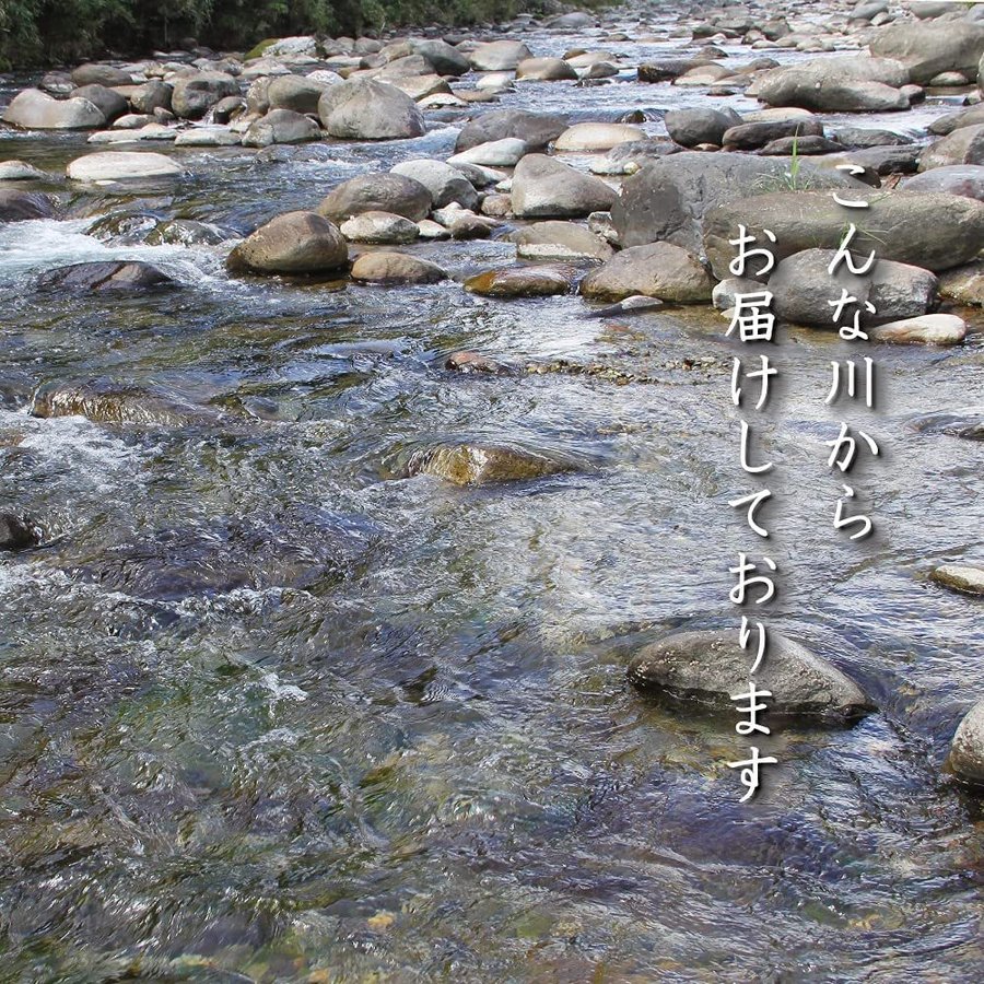 65 Off 川砂利 まとめ買い0kg kgx10 サイズ10 mm きれいな川からお送りします 敷き砂利 お庭 アプローチに Fucoa Cl