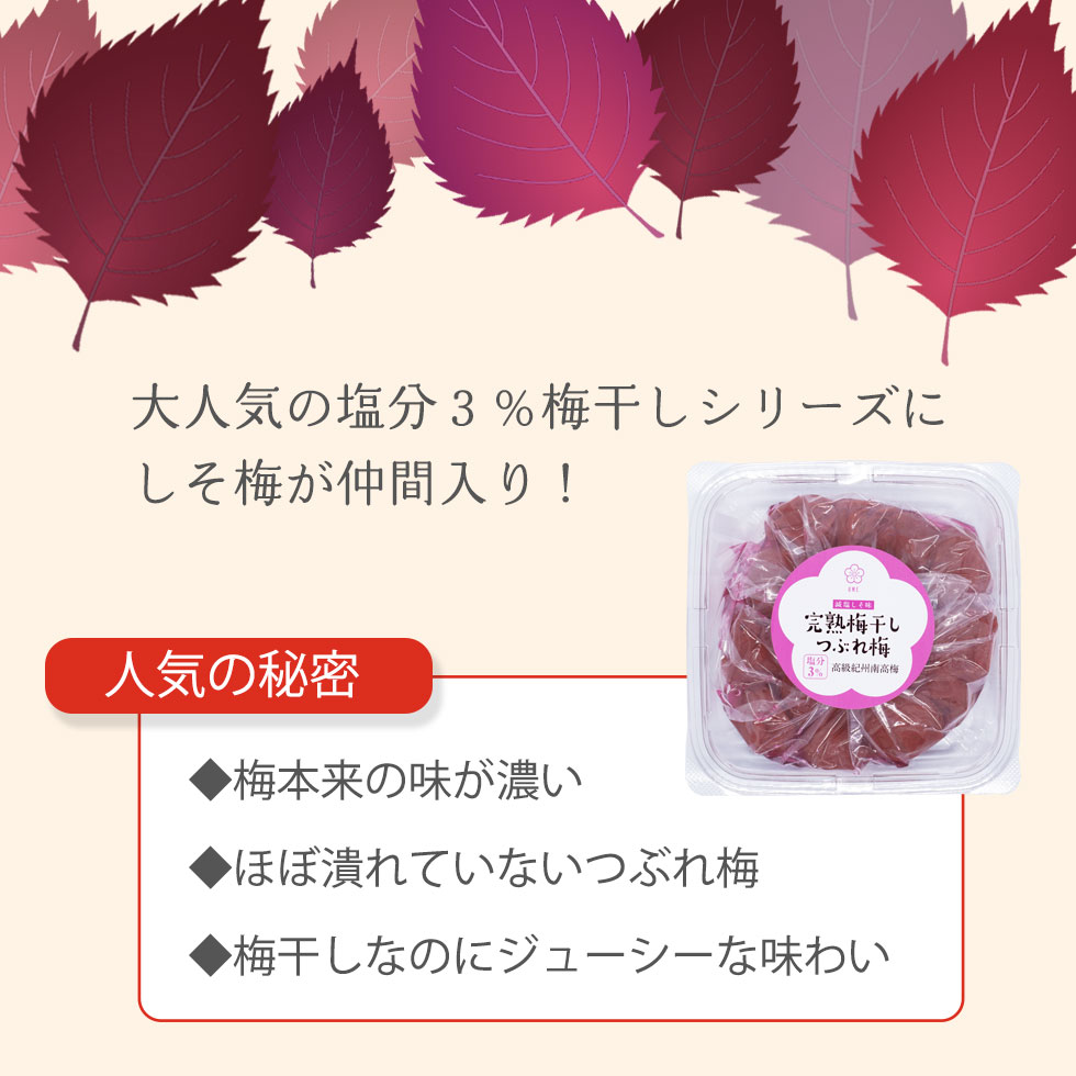 市場 大粒 梅干し 紀州南高梅 塩分3% 完熟紀州南高梅 完熟梅干し しそ梅 訳あり 400g×4個 1.6kg つぶれ梅