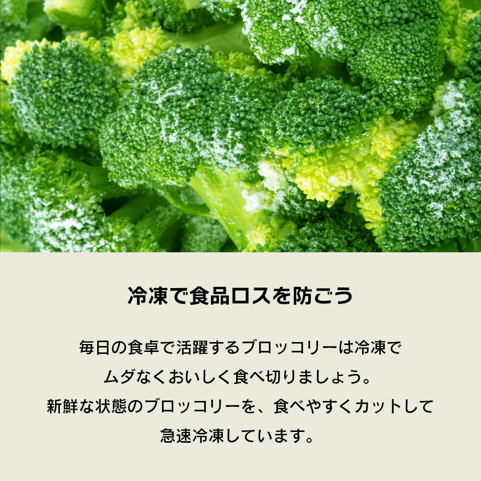 市場 冷凍 エクアドル産 1.5kg お徳用 冷凍野菜 ブロッコリー 美味しいブロッコリー 500g×3袋 毎日の食卓に大活躍 野菜  食べやすくカットした