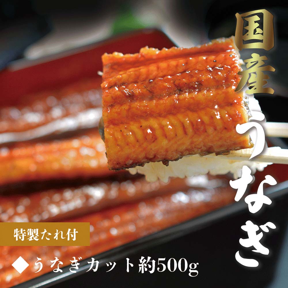 うなぎの蒲焼き (半身 約500g) 愛知県三河一色産【うなぎ専門店小林商店】タレ付 備長炭 本格炭火焼き 贈答品 ご自宅用 ギフト 2026 母の日 お祝い 土用丑の日 国産 ウナギ 蒲焼き 鰻 蒲焼 送料無料※沖縄・北海道・離島は除く