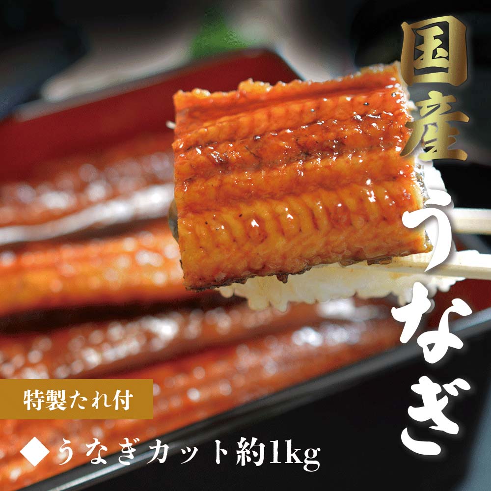 うなぎ ギフト うなぎの蒲焼き (半身 約1kg) 愛知県三河一色産 母の日 2026【うなぎ専門店小林商店】タレ付 備長炭 本格炭火焼き 贈答品 ご自宅用 ギフト 鰻丼 ひつまぶし お祝い 土用丑の日 国産 蒲焼き 鰻 蒲焼 送料無料