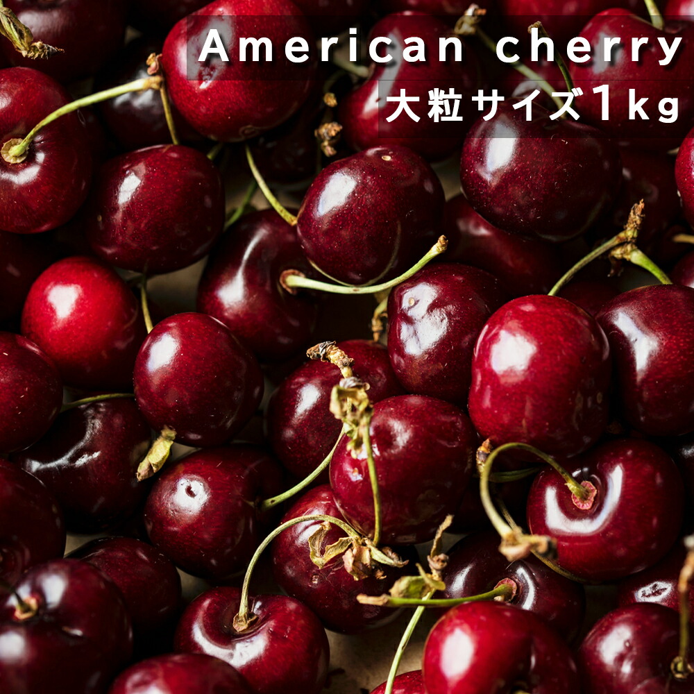 アメリカンチェリー 約1kg 超大粒 チェリー 大容量 ( 国産さくらんぼ 2Lサイズ強 ) 品種お任せ 9.5-10row 大粒サイズ 果物 旬のフルーツ American Premium Cherries 美國車厘子 櫻桃 家庭用 プリッとはじける食感 さくんぼ ダークチェリー チェリー  アメリカンチェリー
