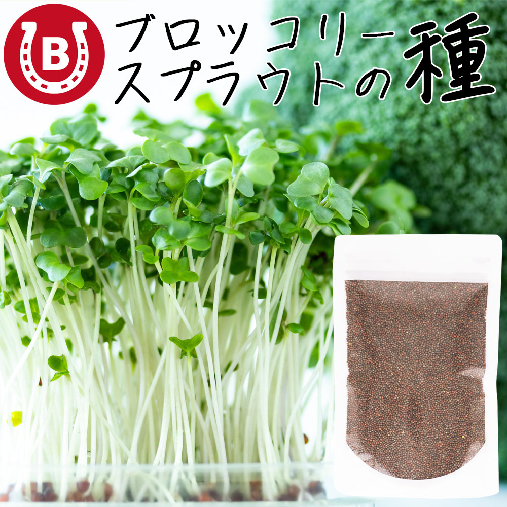 種子10袋セット　　　スルフォラファン　見分け方 Amazon.co.jp: ブロッコリースプラウト種子 200mlから900mlまで4