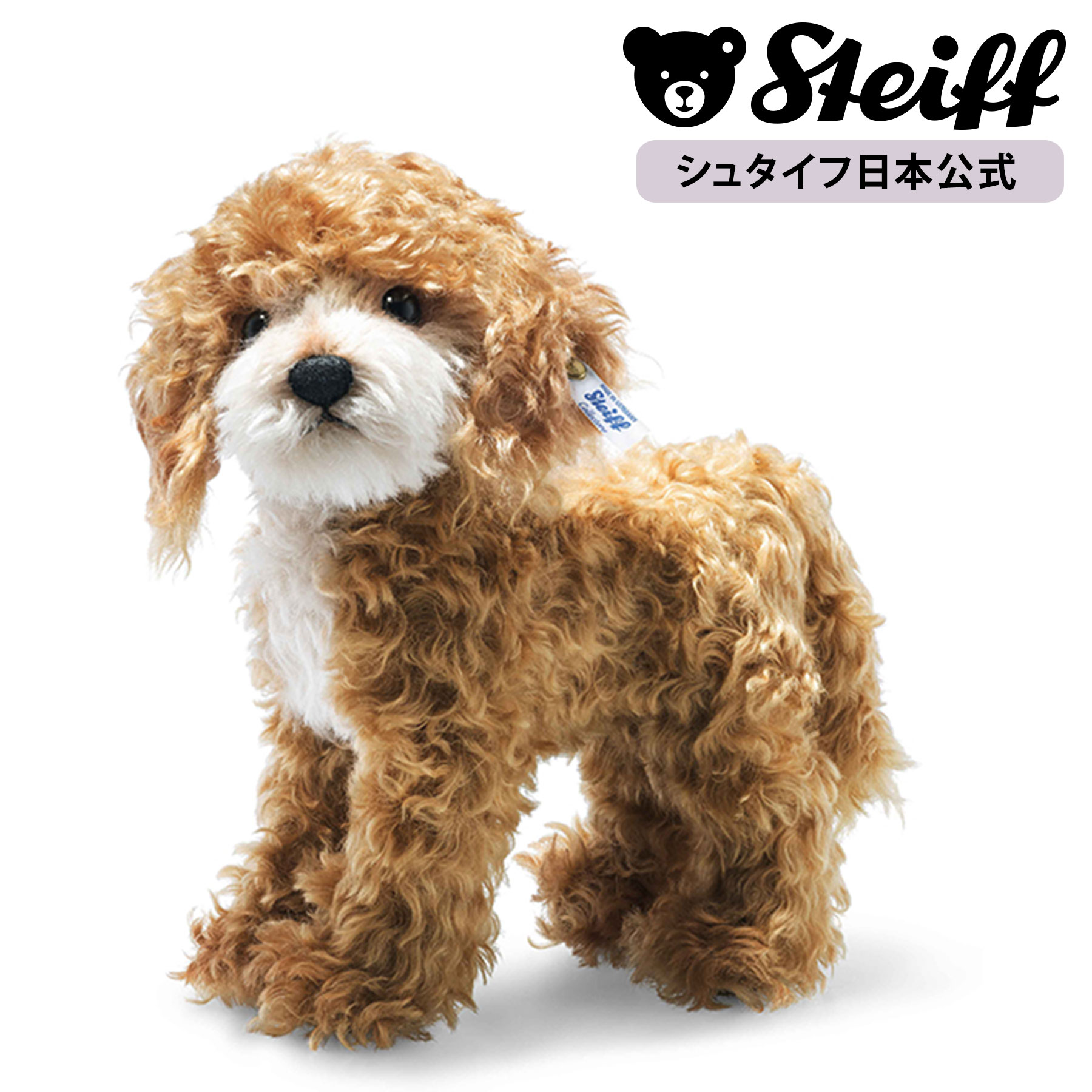 シュタイフコッカー小さい子 stieff 楽天市場】シュタイフ テディベア Steiff コッカープー リッキー