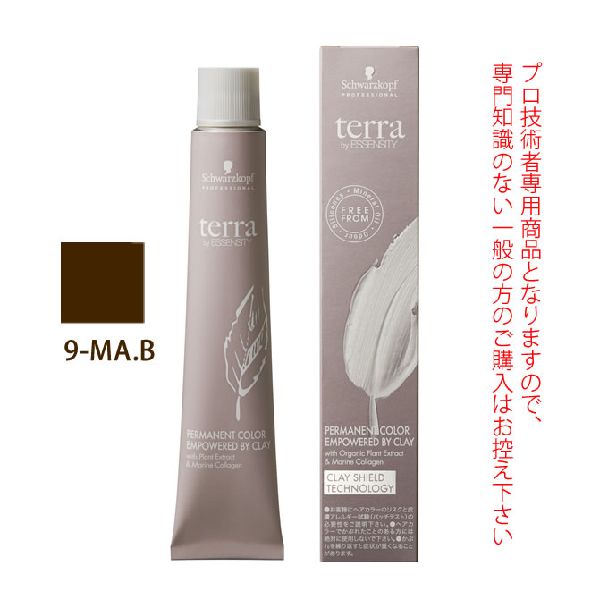 てらこ CONVERSE ALL STAR BOARDERSTAR OX / SHINYAKOZUKA｜BILLY'S ENT