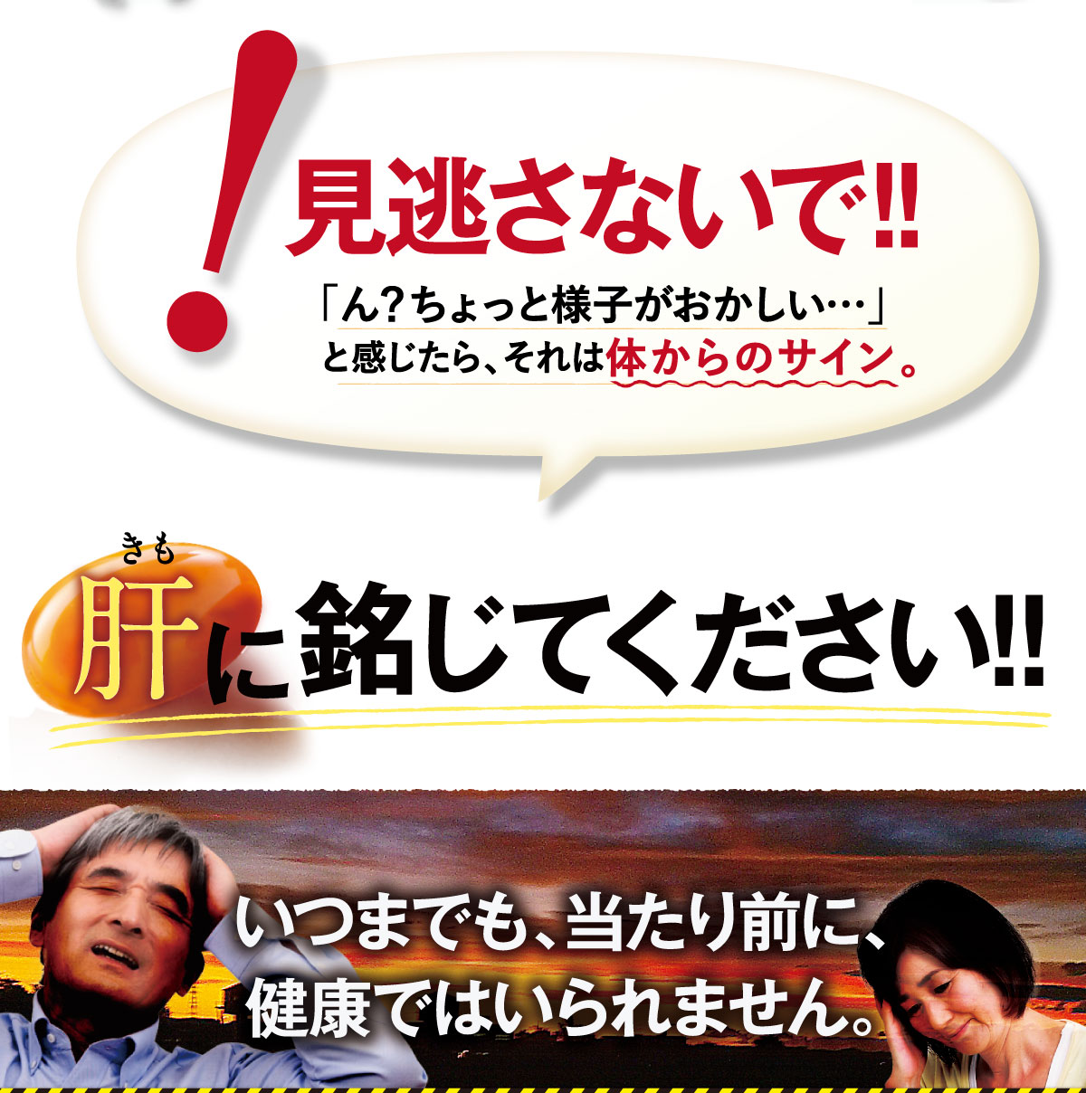 毎日がバーゲンセール にんにく サプリ 送料無料 牡蠣 梅 国産 亜鉛 クエン酸 ステラ漢方公式 サプリメント 健康食品 ギフト プレゼント 毎日用  男性 女性 30代 40代 50代 60代