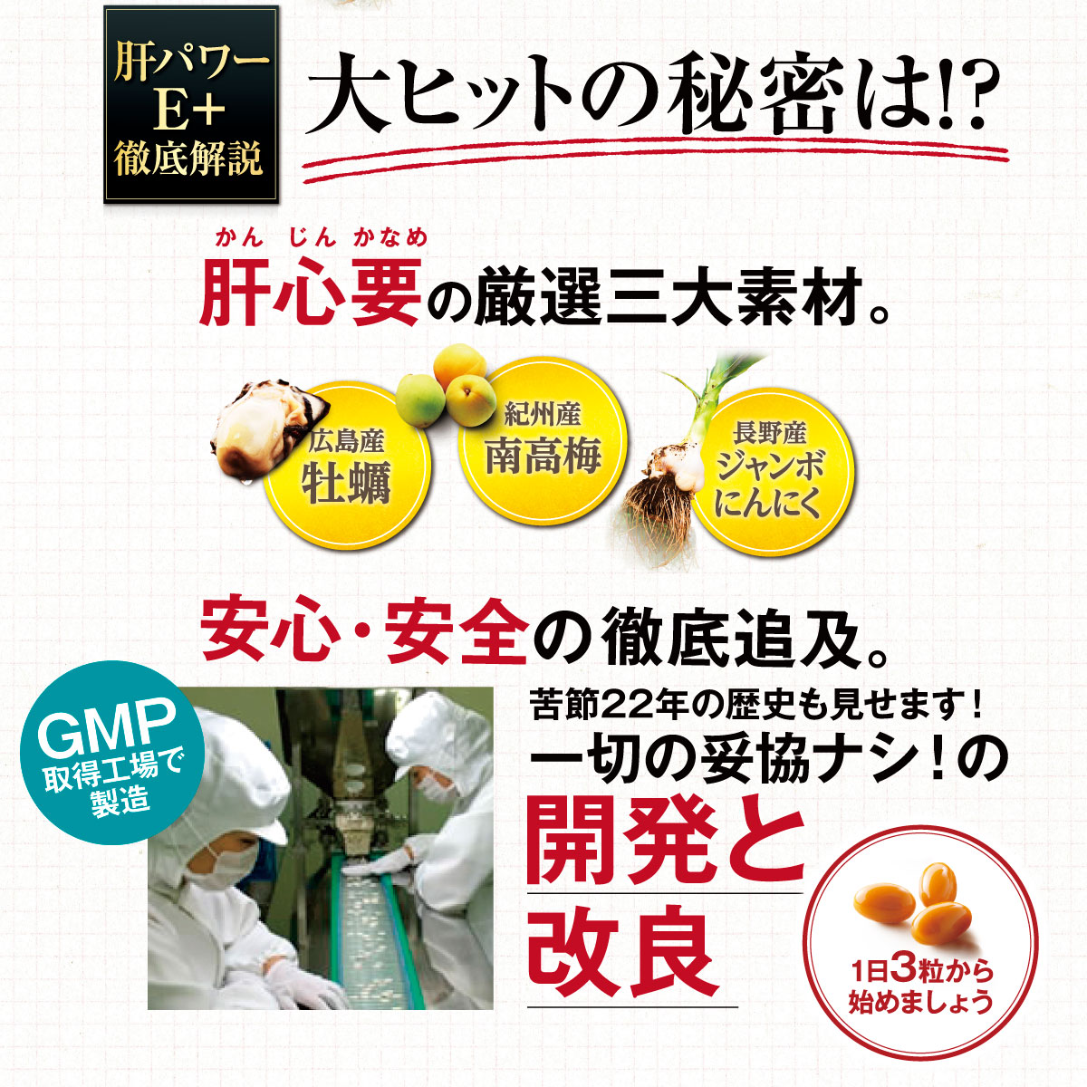 にんにく サプリ 送料無料 牡蠣 梅 国産 亜鉛 クエン酸 ●ステラ漢方公式●【 肝パワーEプラス 2袋 ≪ 定期便 ≫】  サプリメント 健康食品 ギフト プレゼント 毎日用 男性 女性 30代 40代 50代 60代 正規品安心保証