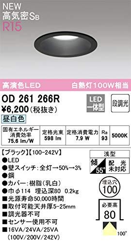 オーデリック 落ちこむ点火装置 【OD261266R】【OD 261 266R】