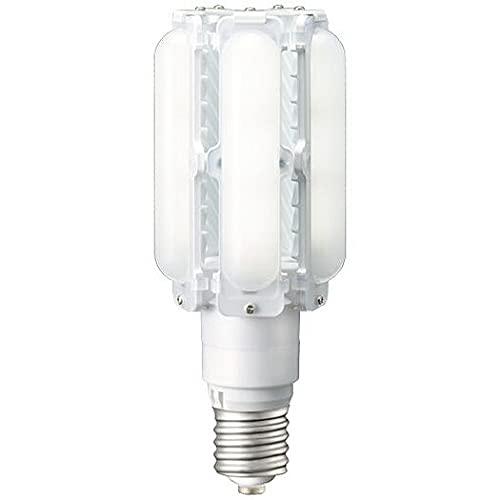 岩崎電気 ＬＥＤライトバルブ ７０Ｗランプ（５０００Ｋ） LDTS70N-G-E39
