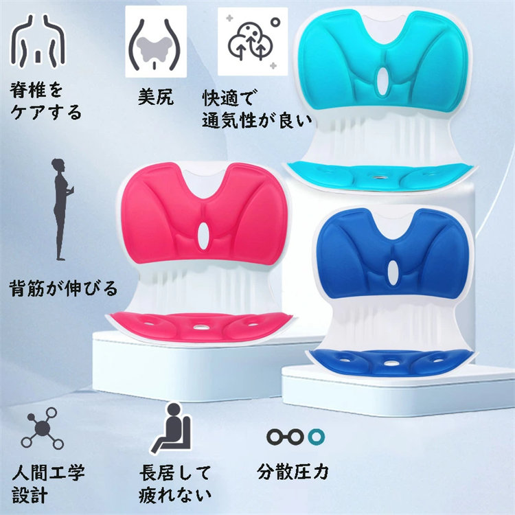 猫背改善 低反発まくら 姿勢補正 ゆったりサイズ 猫背改善 低反発まくら 姿勢補正 ゆったりサイズ sesuji-zz.jpg