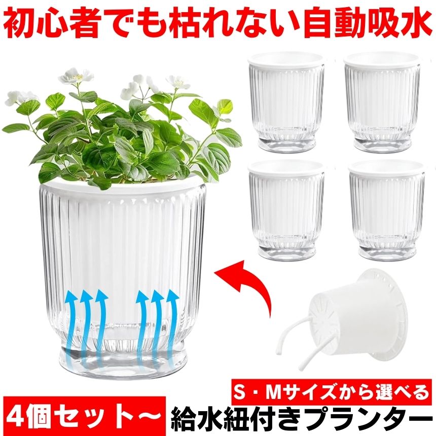 鉢 可塑性物質 花盆 水耕作りだす 植木 鉢 身寄り家庭菜園 プランター 澄み切った 水プランター 草本 ポット 今めかしい 今めかしい 屋内 露天 草木
