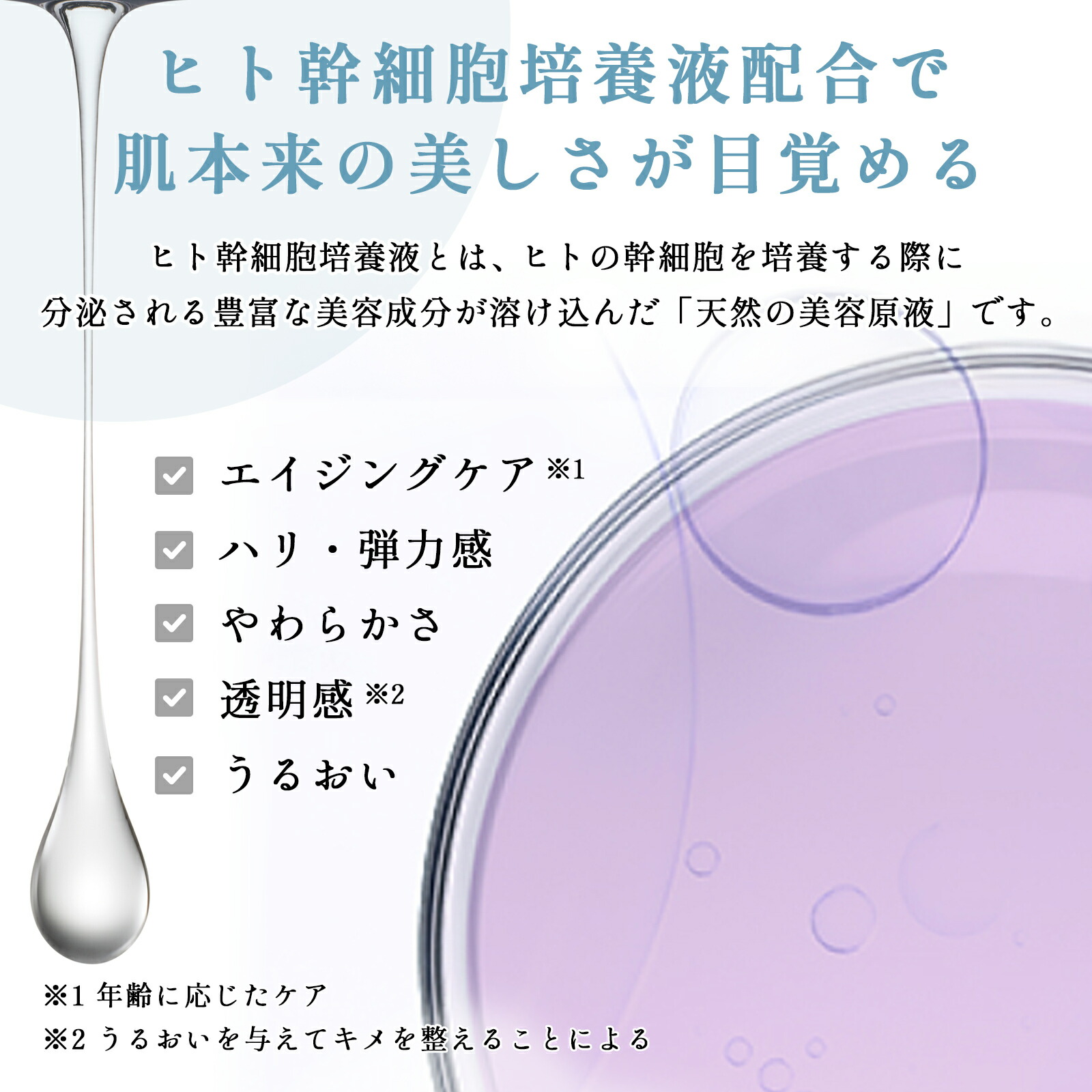 StemBeaute（ステムボーテ） ステム UV クリーム 30g ヒト幹細胞