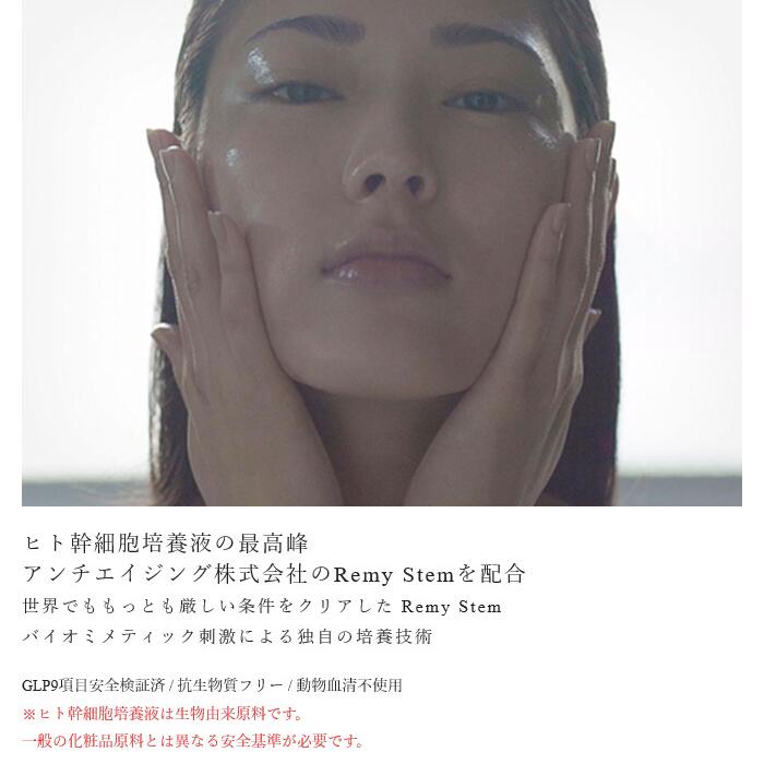 定期コースStemBeaute（ステムボーテ）face&bodylotion（フェイス アンド ボディローション）80ml