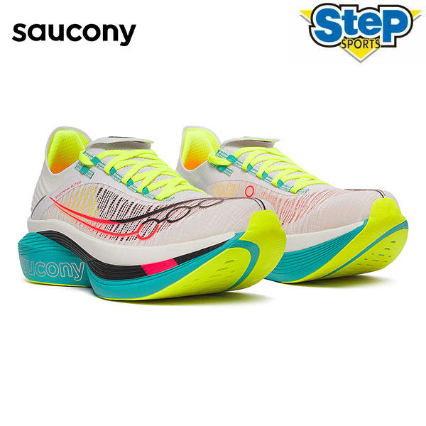 ヒーリー・レゾナス・プラス・エディション コーチング付き ヒーリー