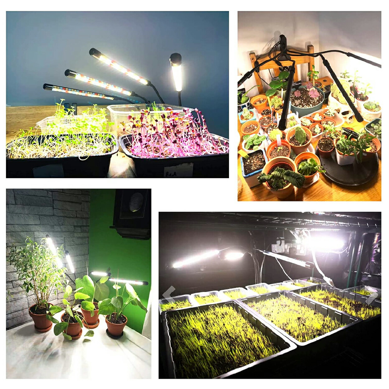 楽天市場 期間限定特別価格 Led 植物育成ライト クリップ 植物 成長 Led 植物育成 観葉植物 植物用 多肉植物 植物工場 育つ 波長 室内栽培 水耕栽培 植木 タイマー 日照不足解消 省エネ ギフト 蛍光灯 クリスマス 日用雑貨 Step One