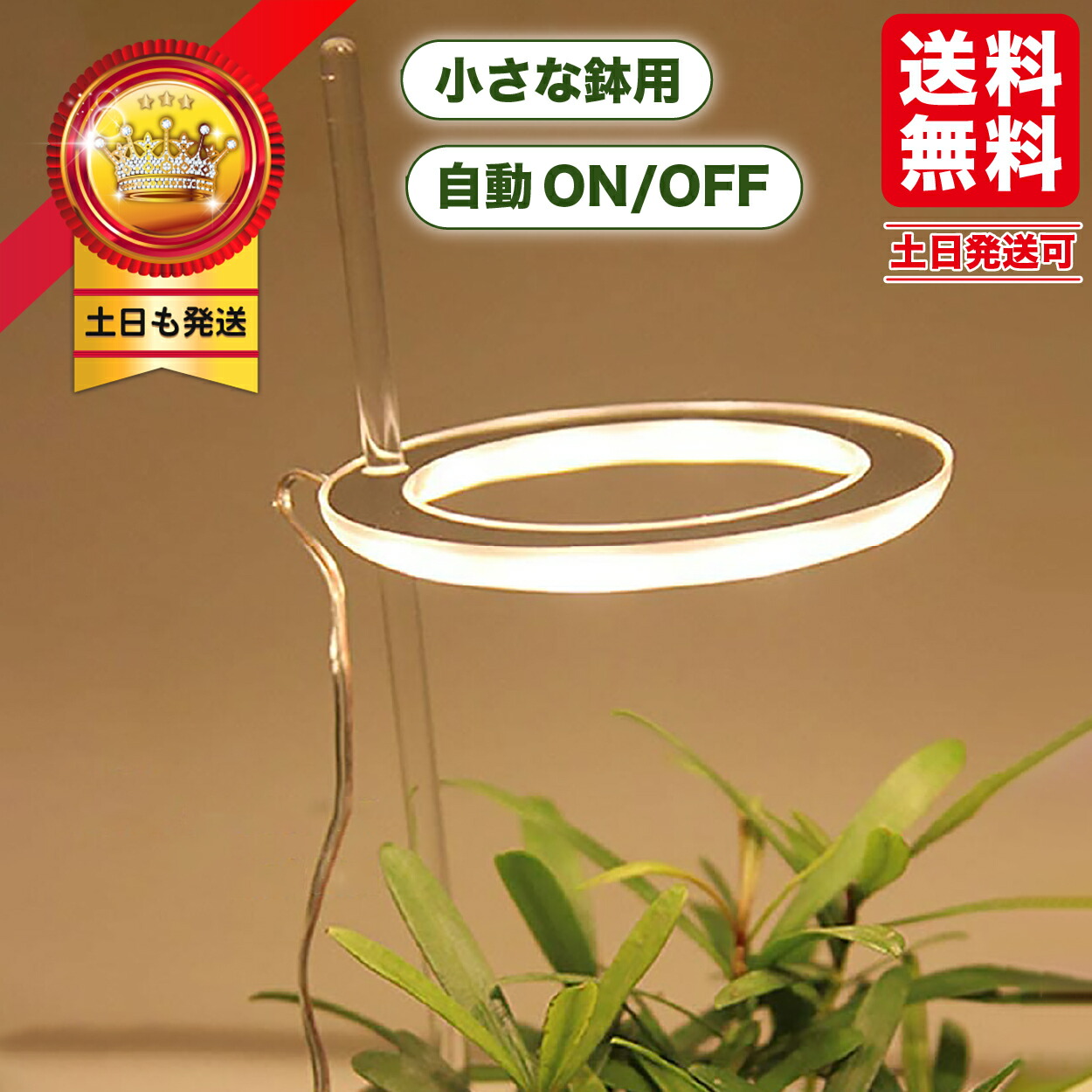 市場 植物育成ライト おしゃれ 植物育成 多肉植物 太陽光 スタンド led タイマー LED 観葉植物