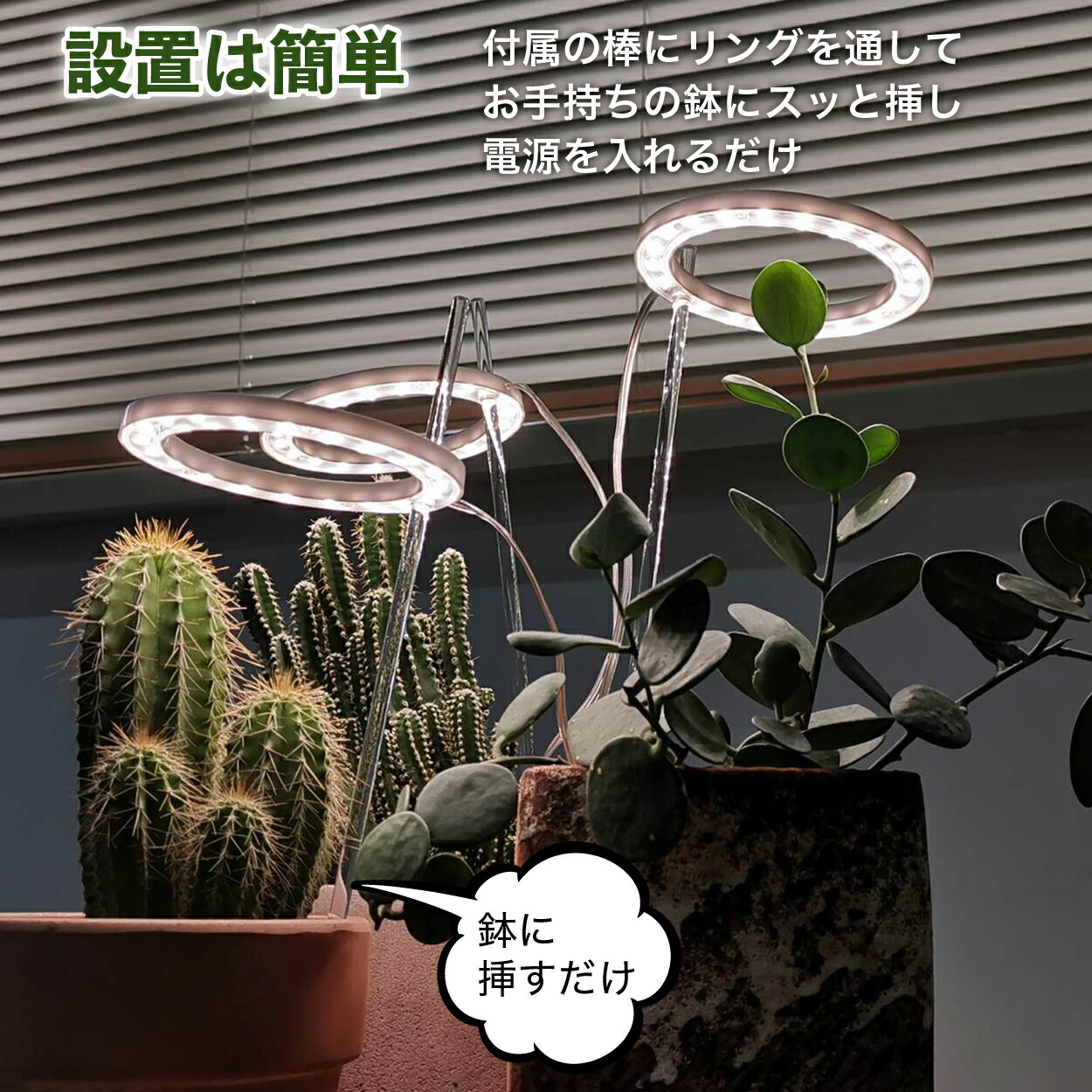 市場 植物育成ライト おしゃれ 植物育成 多肉植物 太陽光 スタンド led タイマー LED 観葉植物