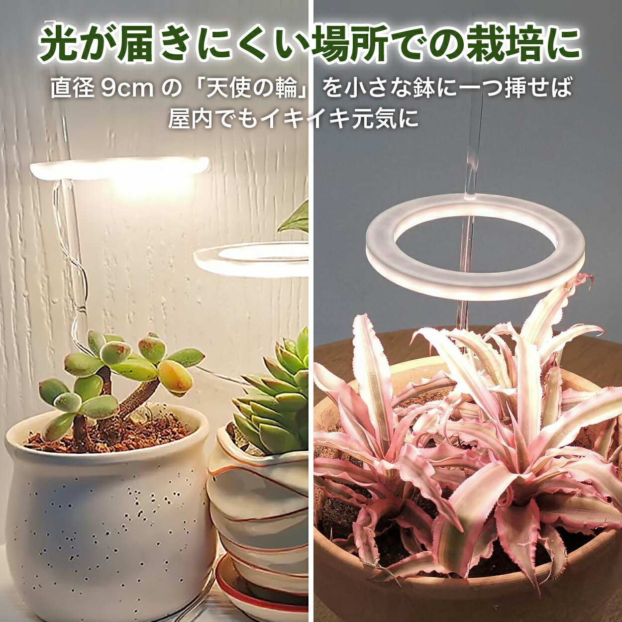 市場 植物育成ライト おしゃれ 多肉植物 タイマー Led リング2個観葉植物 Led 太陽光 植物育成