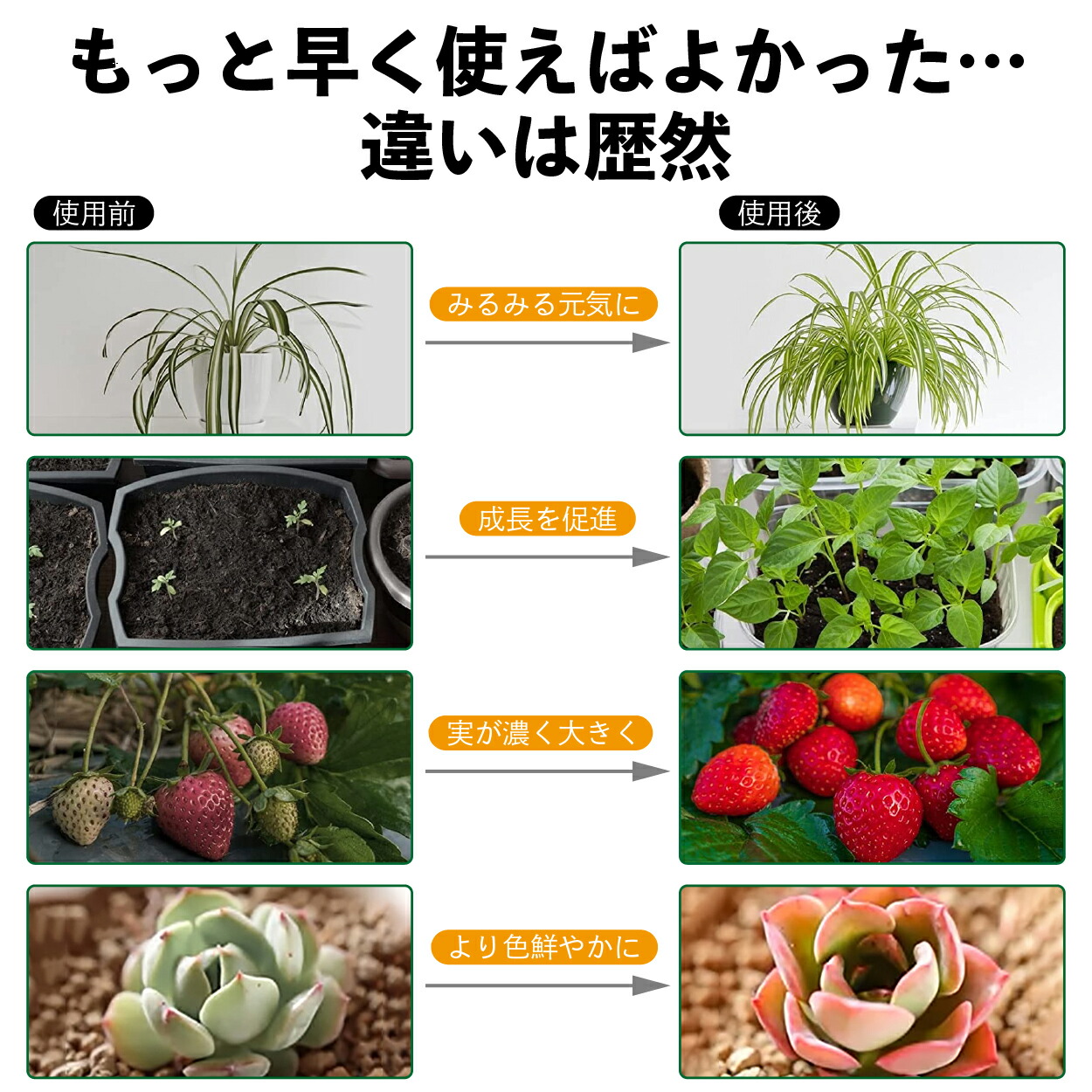 市場 植物育成ライト 太陽光 LED 多肉植物 led 植物育成 おしゃれ タイマー リング2個観葉植物