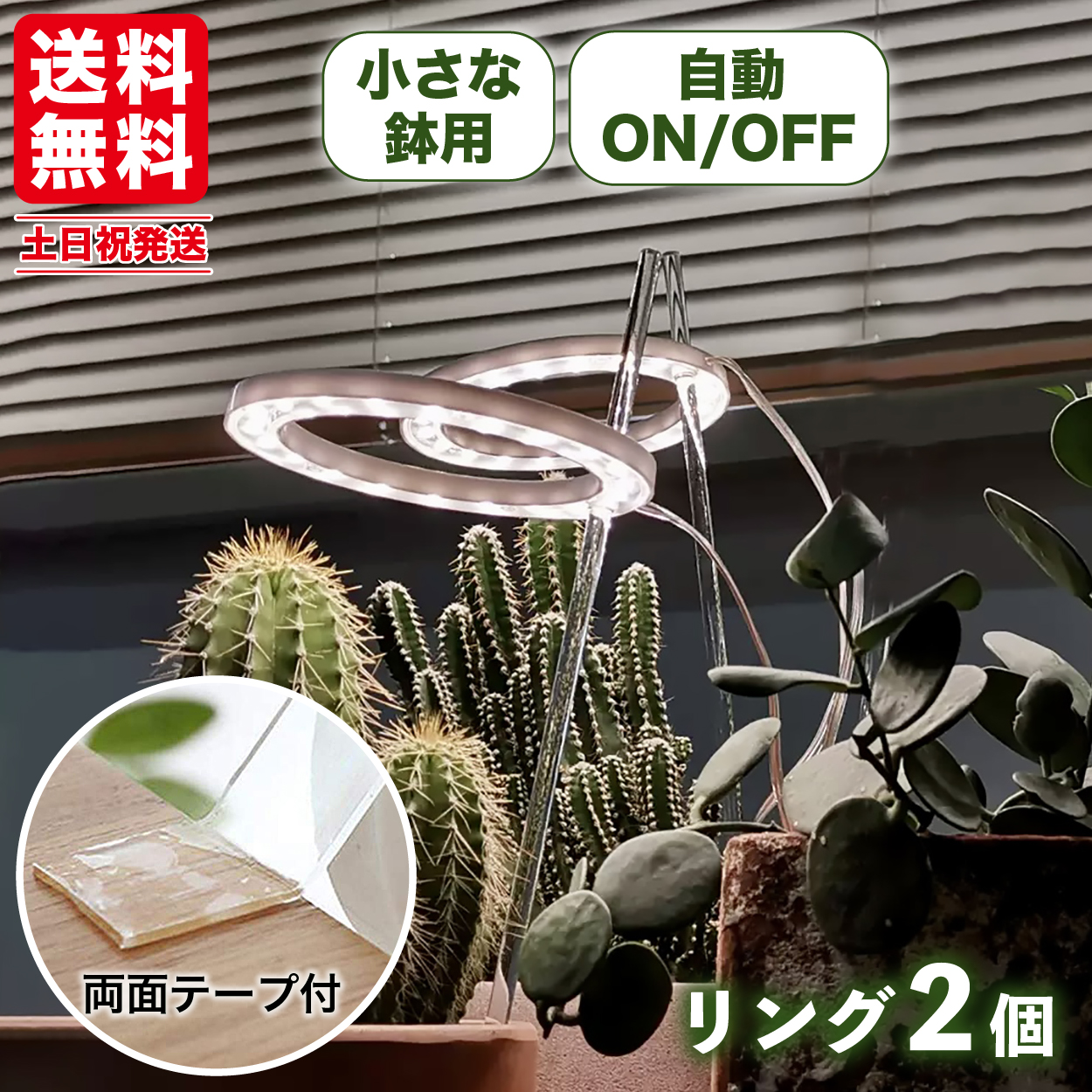 植物育成ライトLED 30W 60LED 定時機能（3H / 6H / 12H） 楽天市場】植物育成ライト、日光色 LED 植物ライト 30W 60LED